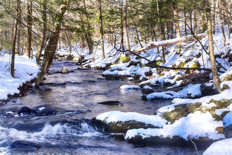 Forest stream with snow stock photo. Image of landscape - 30505356