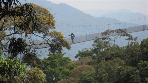 Nyungwe National Park - Astonishing Diversity