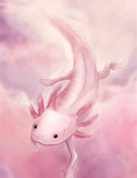 Axolotl Wallpaper Discover more Aesthetic, Background, beautiful, Cartoon, cool wallpapers ...