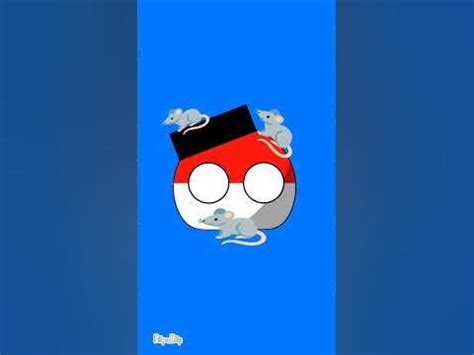 tikus berdasi||CB||#flipaclip #meme #fypシ #countryball #short #shorts ...