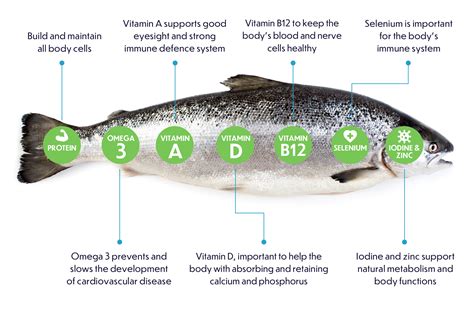 Discover Power of Salmon Nutrition Facts and Tips | Ocean Blue