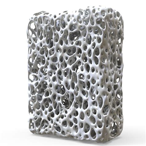 Bone Structure 3D model - TurboSquid 1922291