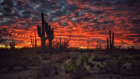 Tucson Arizona Wallpapers - Wallpaper Cave