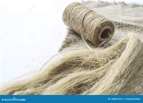 Flax Fibers for the Production of Linen Fabrics, Linen Yarn and Thread Stock Image - Image of ...