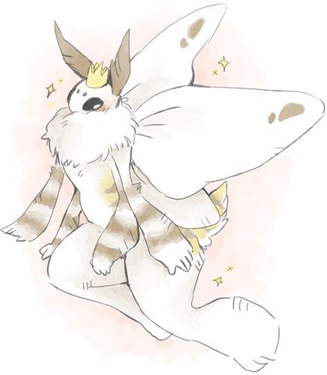 moth prince by Apple | Furry art, Moth art, Moth drawing