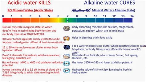 Alkaline Water – Truly Beneficial or BS? – Level 9 Personal Training