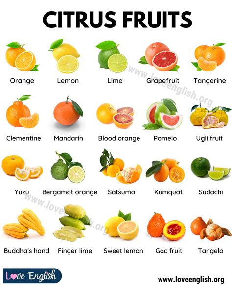 30+ Delicious Citrus Fruits You've Got to Try - Love English