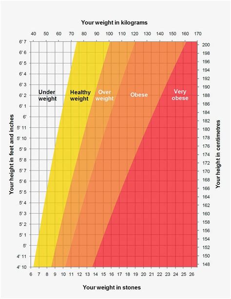 Bmi calculator women - montrealatila