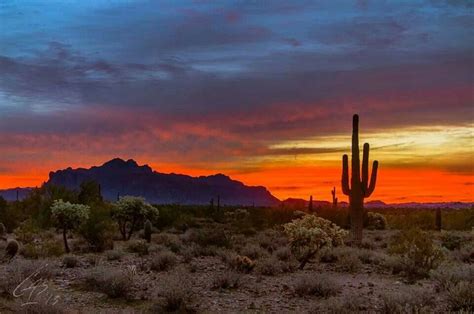 Sunrise from Apache Junction, AZ | Arizona sunrise, Desert painting, Arizona sunset