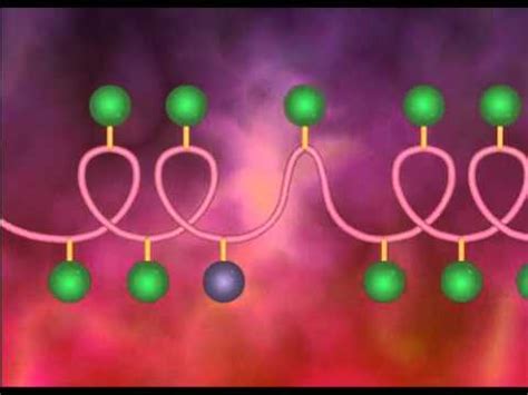 Protein - Structure and Denaturation (HD Animation) - YouTube