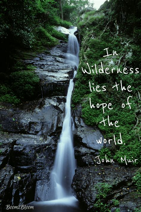 John Muir Wilderness Quote & Art Print ~ Boom2Bloom.com | Wilderness ...