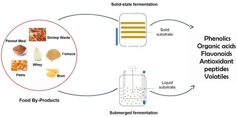 Was ist die primäre Fermentation?