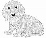 Free Printable Dog Coloring Pages Coloring sketch template
