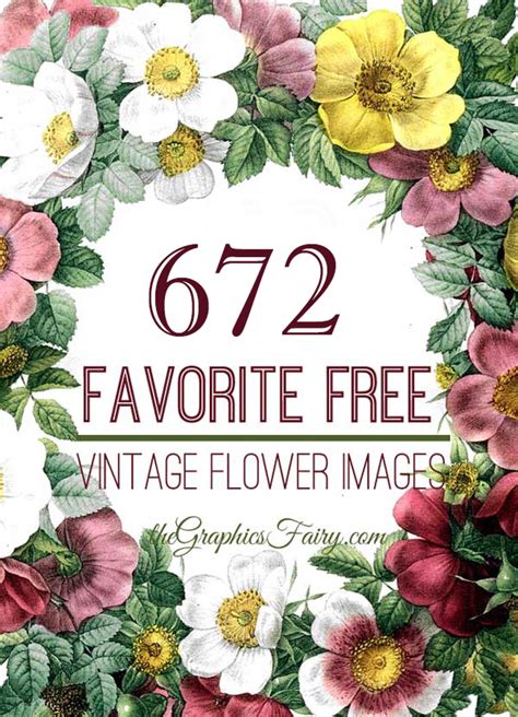 672 Vintage Flower Images! - The Graphics Fairy