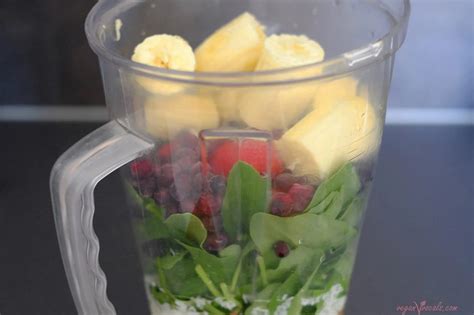 Raw-Vegan Smoothie to Go (Made Entirely of Whole Foods) - veganvvocals.com