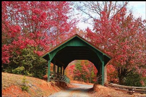 Covered bridge in Fall | Covered bridges, Old bridges, Scenic