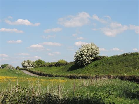 Photographic Allsorts: Today's walk, Portbury Wharf Nature Reserve Portishead.