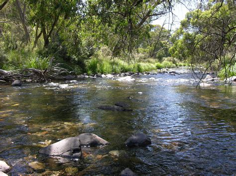 Australia Day along the Cobungra River | Bayside Bushwalking Club