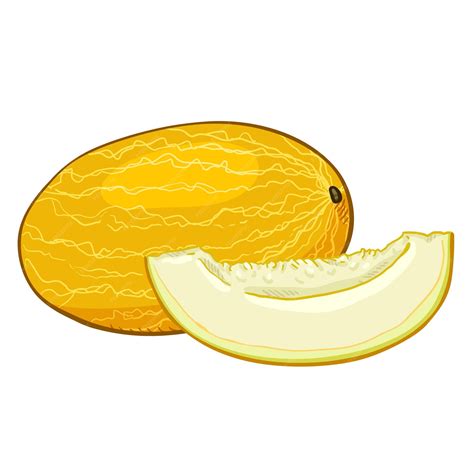 Premium Vector | Vector cartoon yellow melon and piece of it