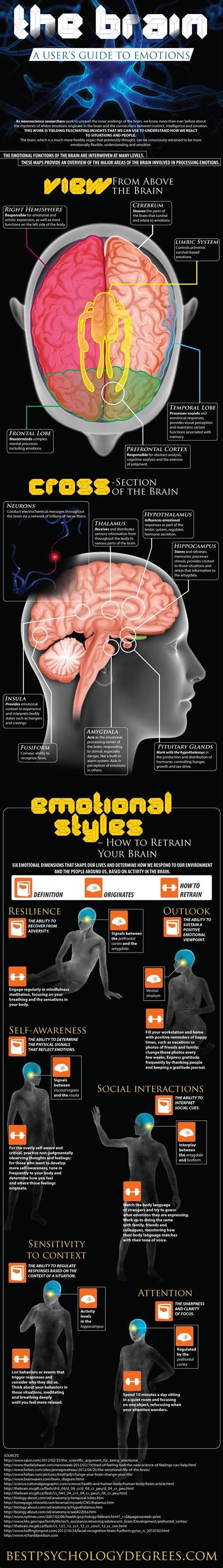 The Brain: A User's Guide to Emotions #Infographic #Brain #Health Autogenic Training, Brain ...