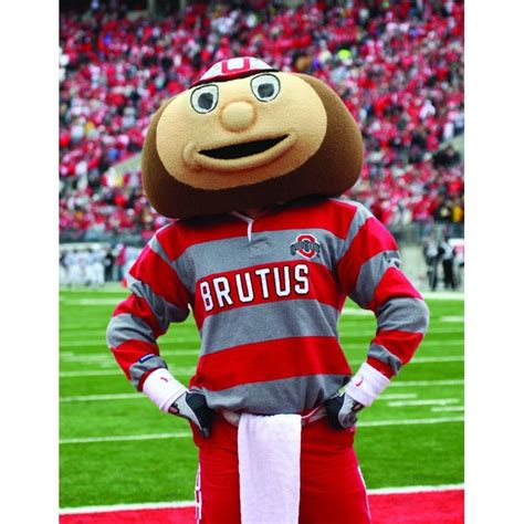 Ohio State University Brutus Buckeye Mascot Costume | Brutus buckeye, Ohio state university ...