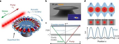 Strong optical coupling through superfluid Brillouin lasing