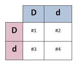 Quia - Benchmark Review (Pedigree Charts & Punnett Squares) - Flashcards