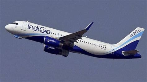 IndiGo launches special fares on 15 year anniversary – India TV