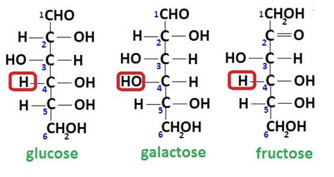 Simple Bio-science