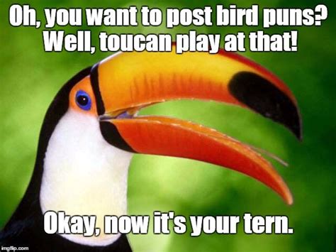 Bird pun challenge! Post your best puns/memes in the comments. | Bird puns, Puns, Best puns