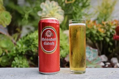 Top 10 Best Kolsch Beer Brands To Try in Germany