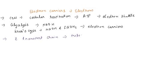 SOLVED: Of the following animal characteristics, which of these do not ...