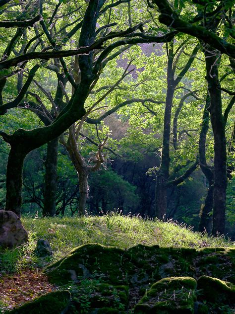 Medium Format Landscape Photography and Abstracts in Morocco