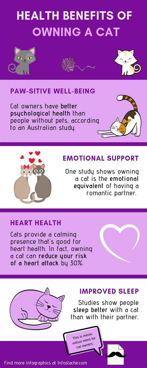 4 Health Benefits of Owning a Cat [Infographic] - Infostache