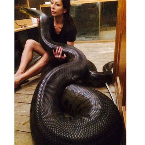 Lady Who Has Anaconda Snake As A Pet ( Photos ) - Celebrities - Nigeria