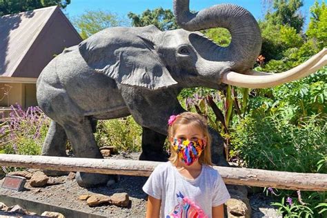 10 Not-to-Miss San Diego Zoo Exhibits and Attractions