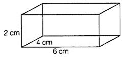 EX 12 Q108 Draw an isometric view of a cuboid 6 cm × 4 cm × 2 cm.