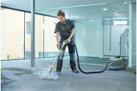 Which Is The Best Rental Carpet Cleaner? Pros And Cons - Ryalux