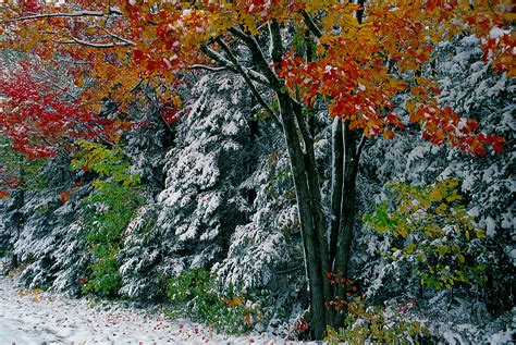 #102 Fall Snow, White Mountains, New Hampshire