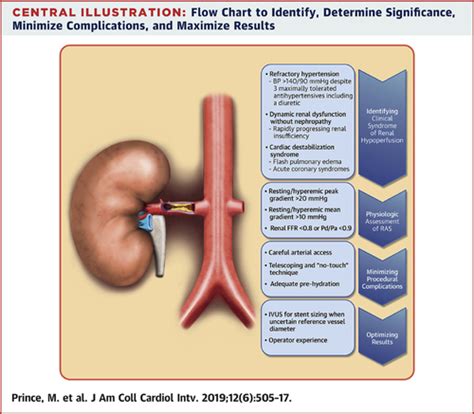 Renal Artery Stenosis Treatment | Renew Physical Therapy