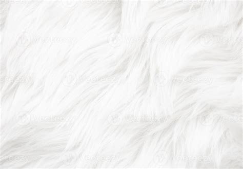 White fur texture 4470257 Stock Photo at Vecteezy