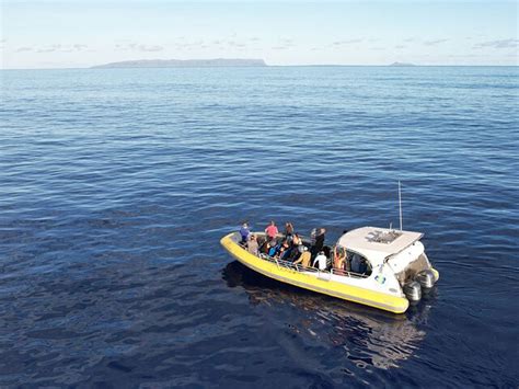 Kauai Whale Watching | Captain J's Kauai Offshore Adventures