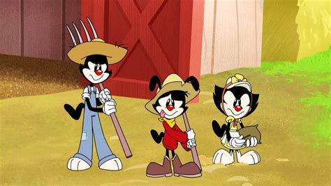 EXCLUSIVE!! Watch — Animaniacs 2020 — Episode 1, Eps 1–13 || “Full Episodes” | Medium