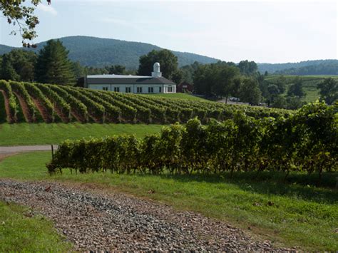 Barboursville Vineyards | The Cultural Landscape Foundation