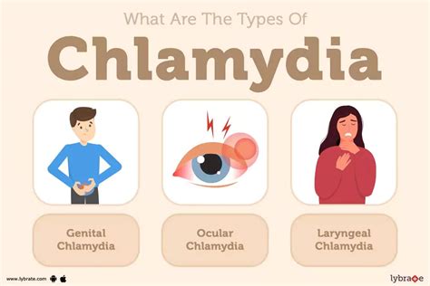 Chlamydia: Causes, Symptoms, Treatments And More