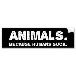 Funny Animal Bumper Stickers - 22 Pics – - Page 9