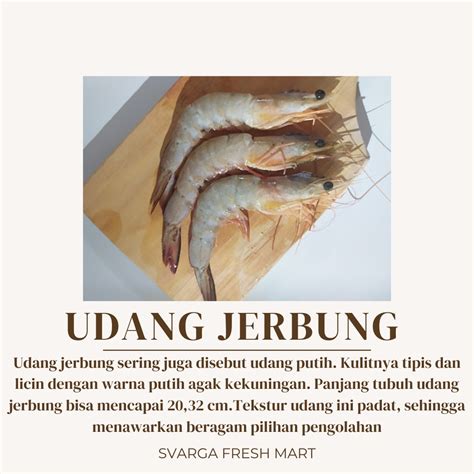 Jual Udang Jerbung | Shopee Indonesia