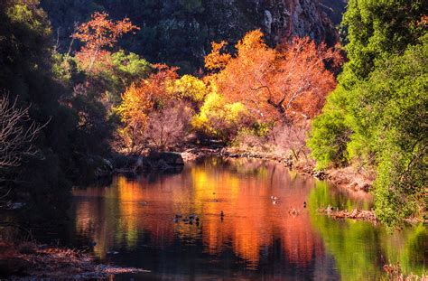 California Fall Colors! Autumn Leaves in California! | Flickr