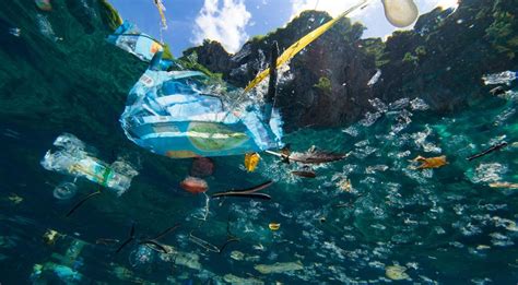 Dampak Sampah Plastik Yang Ada Di Laut Yang Wajib Kalian Tahu - Plasteek