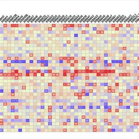 | The correlation analysis between RBM proteins family expression and... | Download Scientific ...